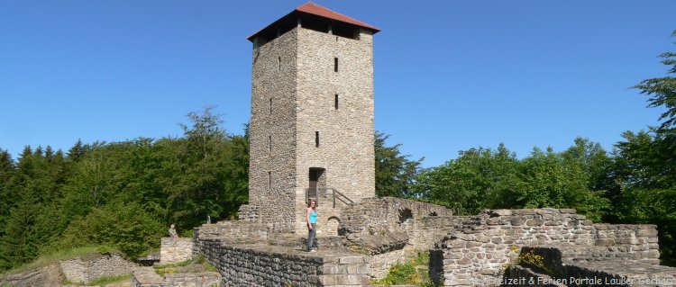 Ausflugsziele mit Hund Burgruine Altnussberg im Bayerischen Wald