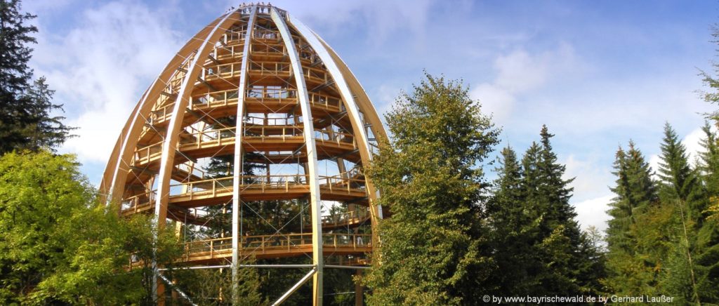 Waldwipfelpfad die Top Sehenswürdigkeit Bayerischer Wald