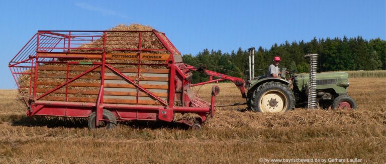 bayerischer-wald-bauernhofurlaub-feldarbeit-traktor-fahren