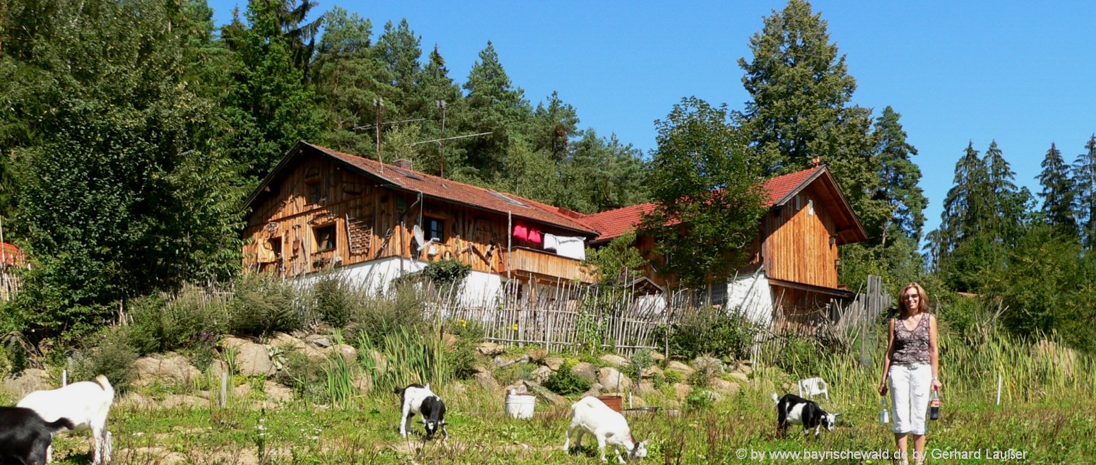Bayerischer Wald Pensionen in Bayern mit Halbpension, Pool oder Hund