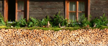 Holzhäuser im Bayerischen Wald Ferienhütte