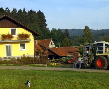 Bauernhof Fingermühl in Michelsneukirchen – Kontakt