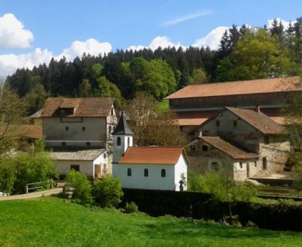 Bauernhof Fingermühl der Kinder + Familienbauernhof