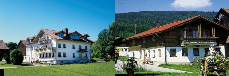 Bayerischer Fald Ferienwohnung mit Sauna Hausansicht
