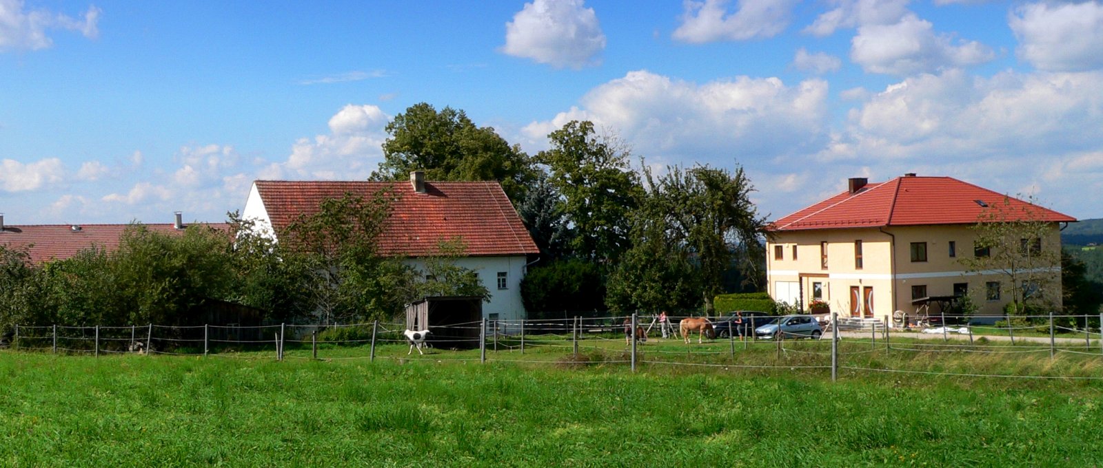 Bauernhof Handlhof in Walderbach – Kontakt