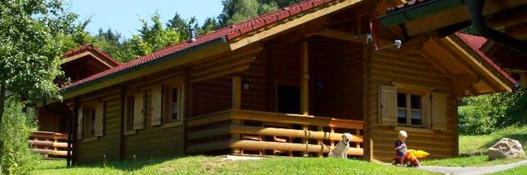 Blockhaus Hedwig im Feriendorf Stamsried Ansicht