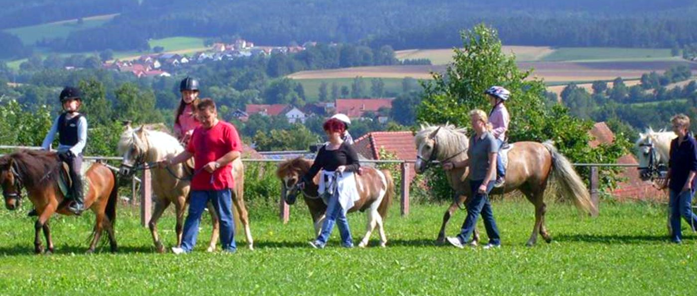 Bauernhof Mühlfriedlhof in Neunburg vorm Wald – Kontakt