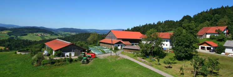 Ferienwohnung am Bauernhof Schätzl in Waldkirchen Hofansicht