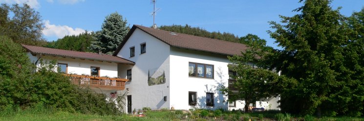 Ferienhaus Sieber Haag bei Zell Ansicht