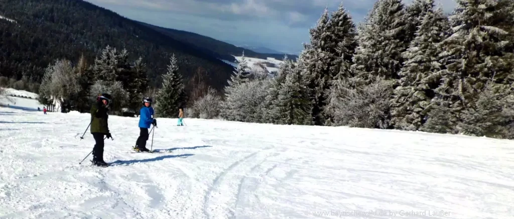 Skigebiet Sankt Englmar - Skilifte in Predigtstuhl und Markbuchen