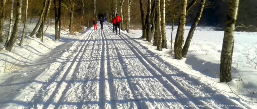 Winterurlaub mit Langlauf in Deutschland - gespurte Langlaufloipen