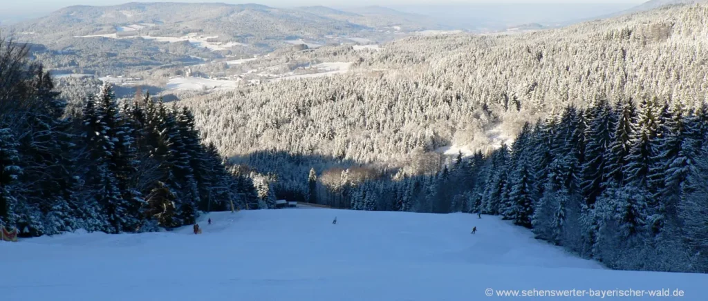 Skigebiete im Bayerischen Wald Skifahren am Riedlberg