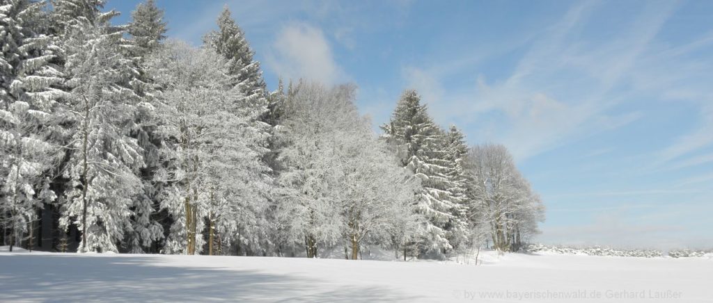 Winterurlaub Bayerischer Wald Landschaft Skigebiet Grafenau