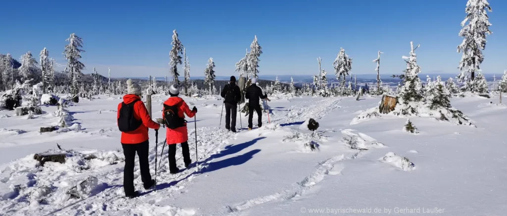 Winterwanderungen und Skiurlaub Bayerischer Wald Familienurlaub mit Kindern