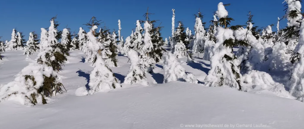 Wintersport in Hinterschmiding - Winterwanderung am Berg Haidel