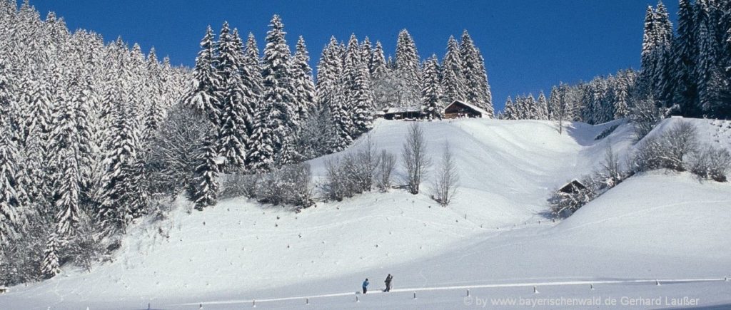 Winterurlaub in Neuschönau - Skifahren, Langlauf und Winterwanderung