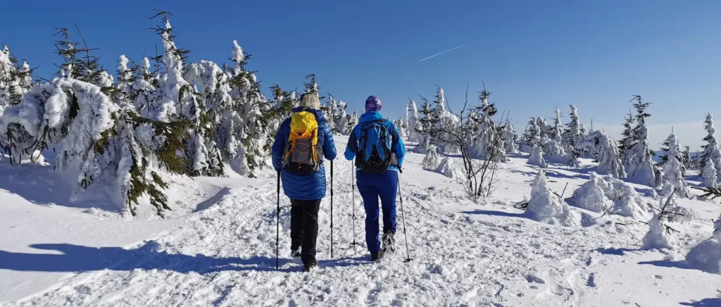 Winterurlaub Bayerischer Wald Almhütten mieten für Winterwanderungen mit Übernachtung