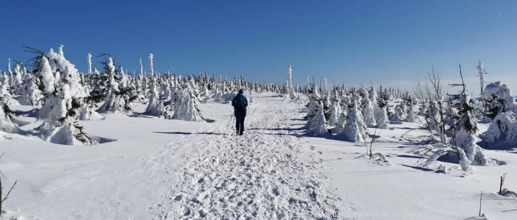 Winterwandern, Skifahren, Langlauf am Voithenberg Gibacht 