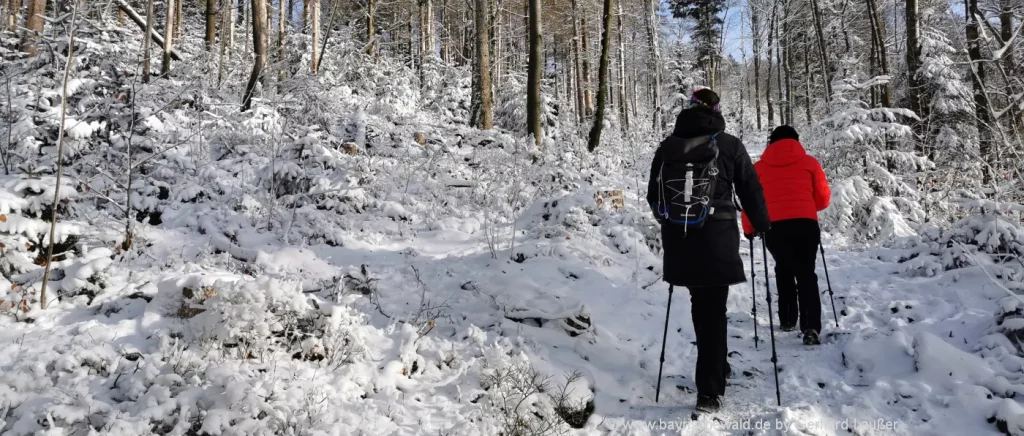 Winterurlaub Hoher Bogen - Skifahren und Winterwandern Neukirchen b. Hl. Blut