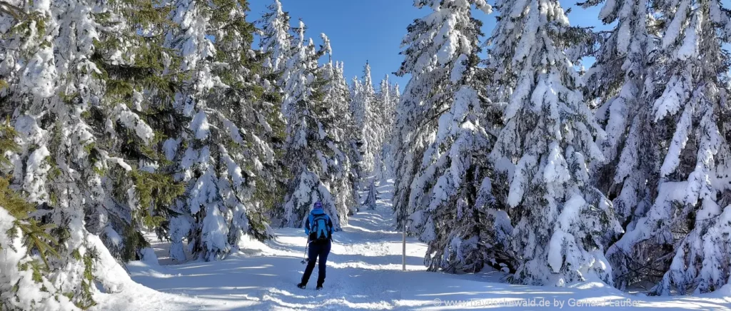 Skifahren am Gibacht in Waldmünchen Althütte und Unterhütte Winter Wandern