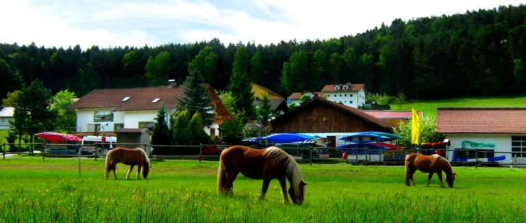 zankl-miltach-reiterhof-bayerischer-wald-ferienhof