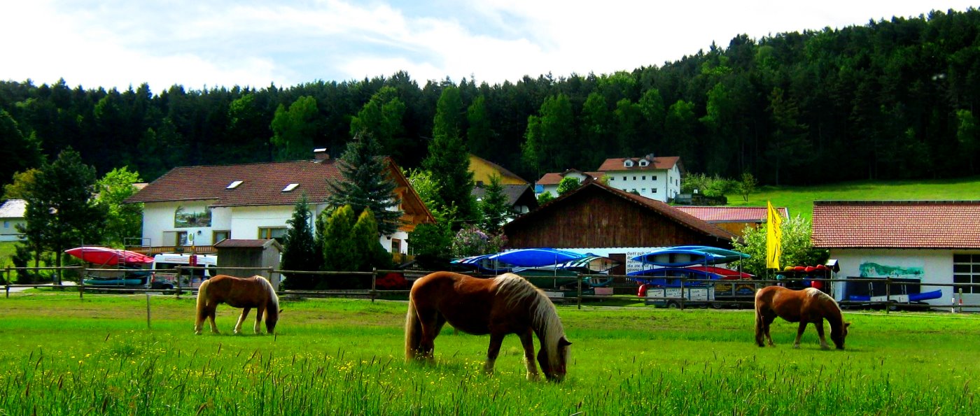Pferdehof Zankl Fewo und Ferienhaus mit Kanuverleih