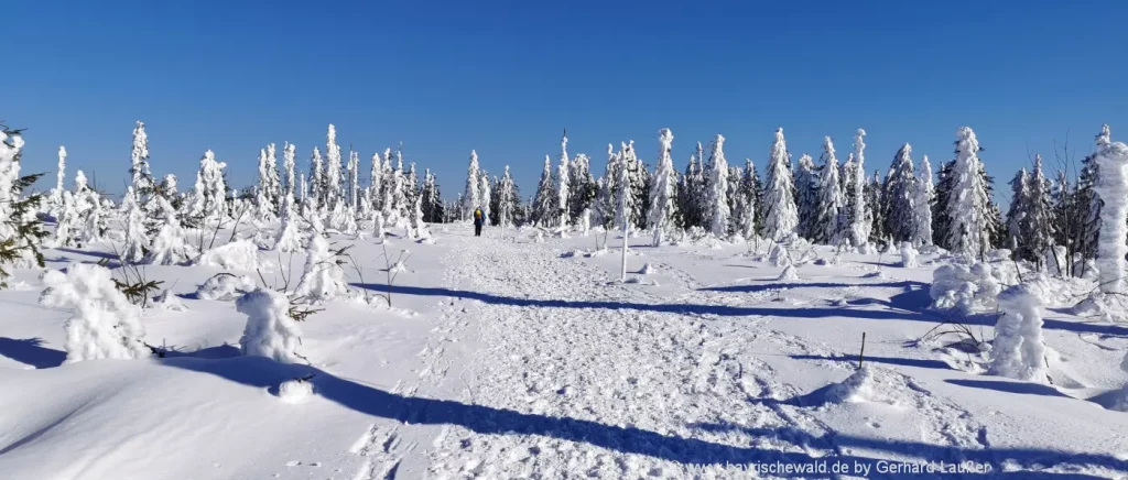 Winterurlaub in Zwiesel - Pferdeschlittenfahrt, Skitouren und Winterwandern
